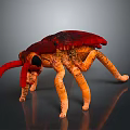 Vibrant Red Orange Beetle With Shiny Exoskeleton Long Antennae And Multiple Legs