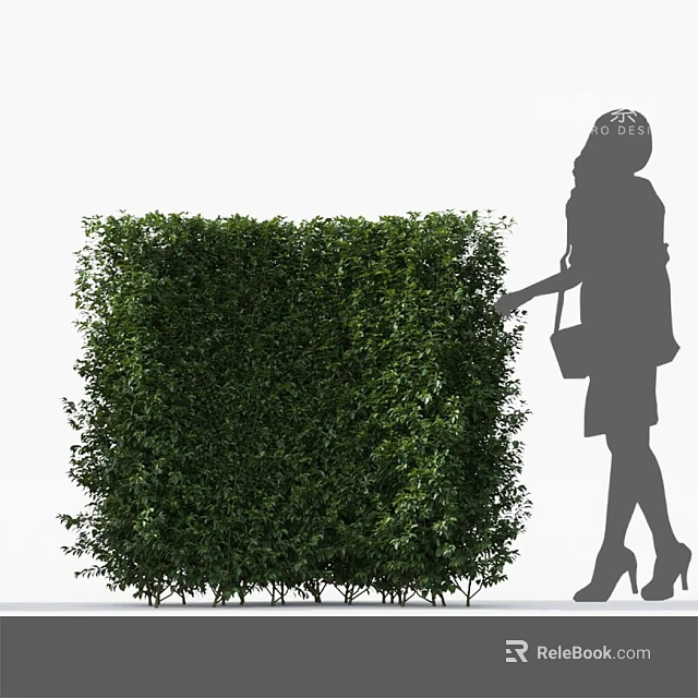Square Green Bush with Woman Silhouette Touching Dense Lush Foliage 3d model 