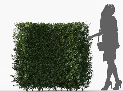 Square Green Bush with Woman Silhouette Touching Dense Lush Foliage 3d model