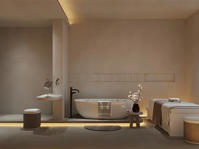 Modern SPA Sauna Interior With Bathtub Massage Bed And Decorative Plants 3d model