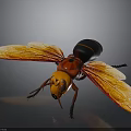 Realistic Wasp With Orange Wings Red Body And Black Abdomen Detailed Closeup