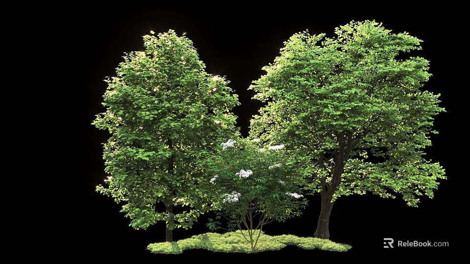 Tall Arbor Trees With Lush Green Foliage White Blossoms And Grass 3d model 