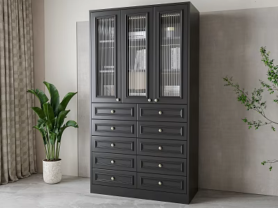 Modern Black Bookcase With Glass Doors Drawers And Gold Handles Near Green Plant 3d model