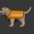 Cute Puppy Wearing Orange Vest With PAMPETS Text Standing On Black Surface