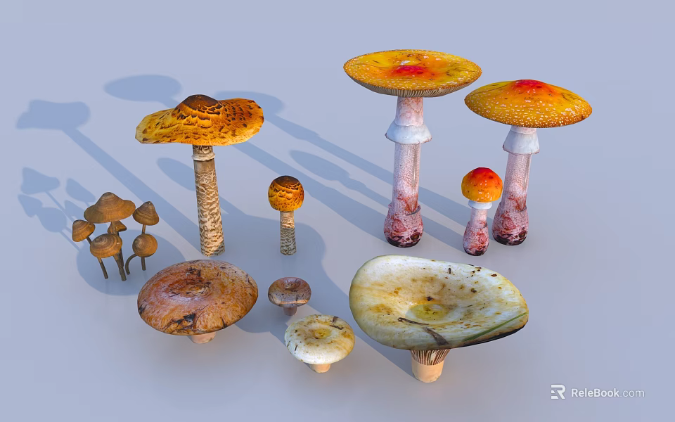 Colorful Mushroom Landscape Sculptures With Various Sizes And Distinct Shapes 3d model 