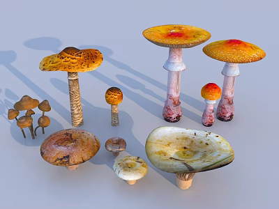 Colorful Mushroom Landscape Sculptures With Various Sizes And Distinct Shapes 3d model