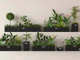 Pendulum green plant flower box plant combination plant pile landscape 3d model