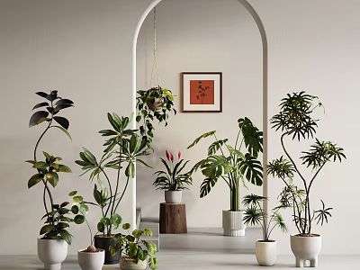Indoor Potted Plants With Various Greenery And Stylish Planters For Home Decoration 3d model