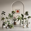 Indoor Potted Plants With Various Greenery And Stylish Planters For Home Decoration