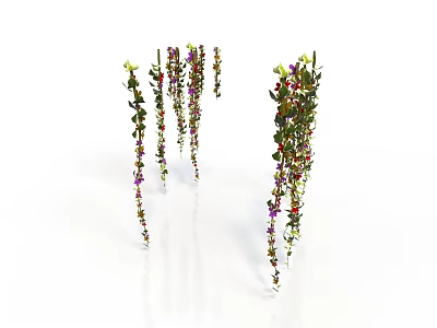 Hanging Plants With Green Leaves And Purple Red Small Flowers On Slender Stems White Background 3d model