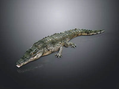 Realistic Lifelike Green Crocodile With Detailed Scaly Skin On Gray Background 3d model