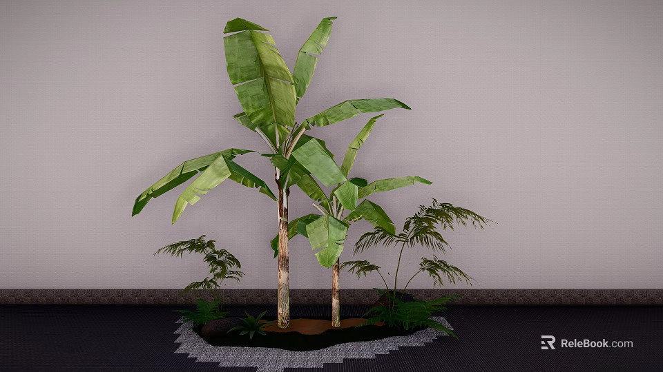 Banana Tree With Large Green Leaves And Small Plants For Indoor Decoration 3d model 