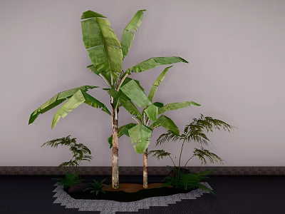Banana Tree With Large Green Leaves And Small Plants For Indoor Decoration 3d model
