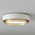 Modern Ceiling Lights with Branch Like Design Golden Fixtures and Circular Shades