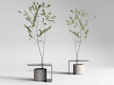 modern potted plant green plant 3d model