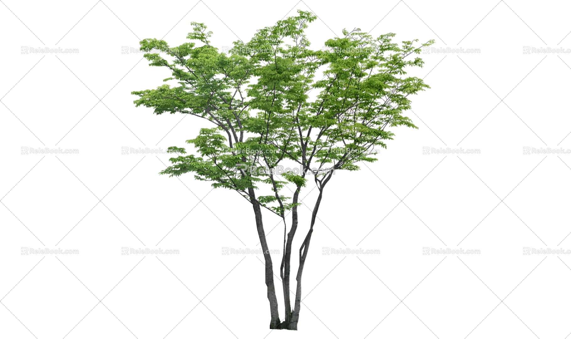 Tree 3d model