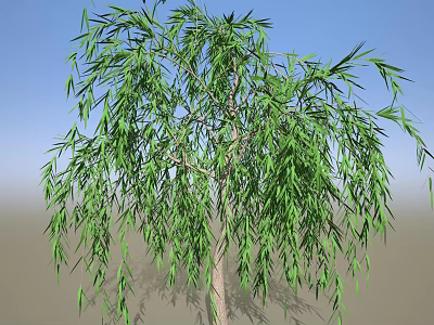 Lush Weeping Willow Tree With Green Hanging Leaves And Blue Sky Background 3d model