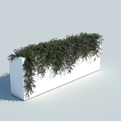Lush Green Vines Draping Over White Planter Box For Decorative Garden 3d model