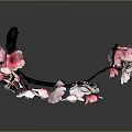 Pink and White Cherry Blossom Branch Featuring Delicate Flowers and Curved Twigs