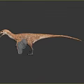 Feathered Orange And Blue Dinosaur Model With Open Mouth And Wings