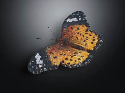 Vibrant Butterfly With Orange Black Wings Spots And White Blue Accents Isolated Dark Background 3d model