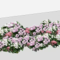 Mixed Purple Pink and White Flowers with Green Leaves in Wavy Arrangement on White Background