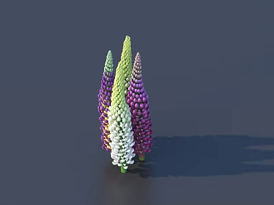 Colorful Lupine Flowers in Vibrant Purple Green White and Yellow Hues on Dark Background 3d model