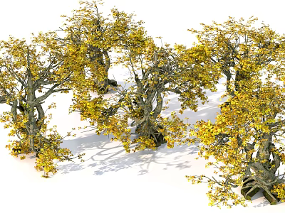 Autumn Trees With Yellow Leaves Thick Trunks And Spreading Branches In Natural Landscape 3d model