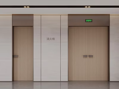 Modern Interior Swing Door With Fire Hydrant In Building Corridor 3d model
