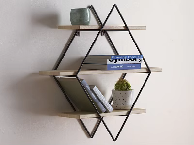 Diamond Shaped Wall Mounted Shelves With Wooden Planks Books And Potted Plant 3d model