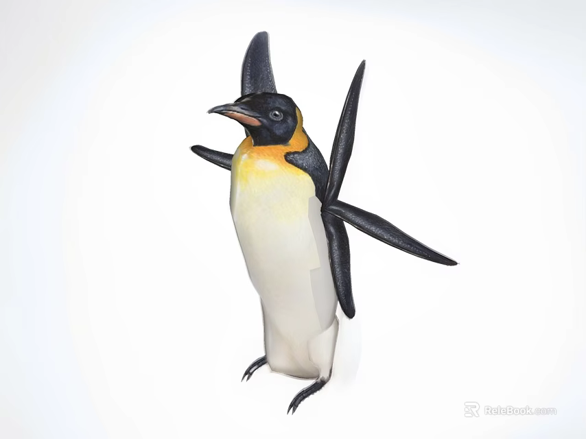 Emperor Penguin Aquatic Animal Standing With Outstretched Wings Isolated On White Background 3d model 