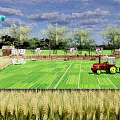 Rural Landscape With Lush Rice Fields Red Tractor Hot Air Balloons Scarecrow And Green Trees