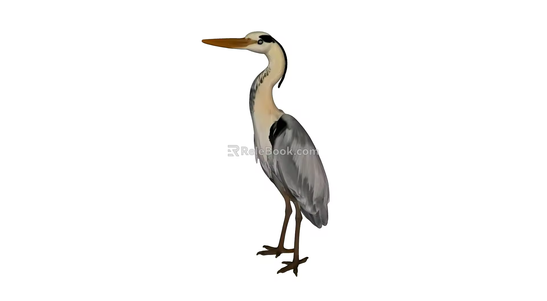 Heron 3d model