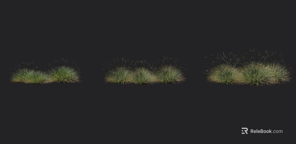 Ornamental Green Grass Clusters Showing Different Natural Growth Patterns For Landscaping 3d model 
