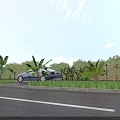 Municipal Road With Blue Car Palm Trees Green Vegetation And Wooden Fence