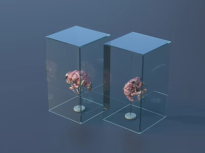 Pink Flower Vase in Transparent Glass Cases on White Base Against Dark Blue Background 3d model