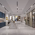 Modern Interior Space With Color Sample Display Shelves Work Table Chairs Plants And Bookshelves