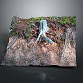 Natural Forest Floor Scene With Tree Stump Exposed Roots Soil And Vegetation