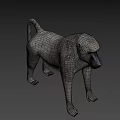Lifelike 3D Baboon Model Standing With Realistic Fur In Natural Background