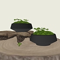 Modern moss bonsai 3d model