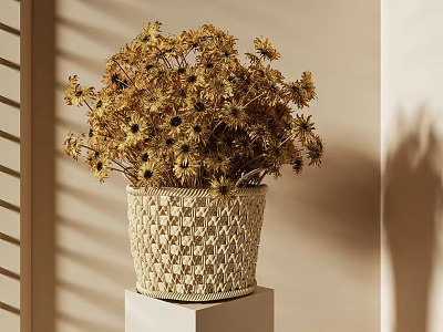 Natural Dried Flowers Arrangement in Woven Basket on White Pedestal with Window Blind Shadows 3d model