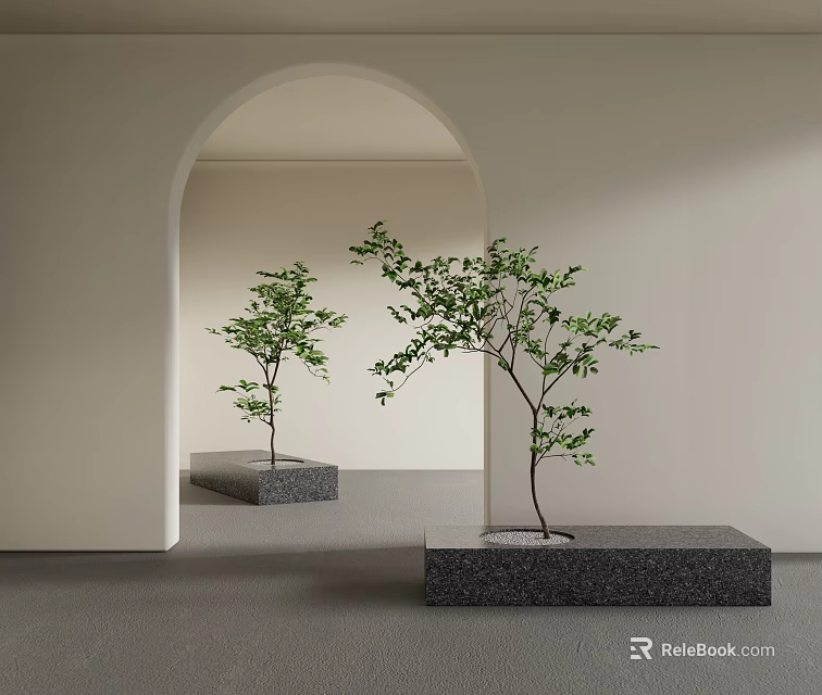 Bonsai Trees On Gray Square Bases In Arched Doorway With Light Walls And Soft Lighting 3d model 