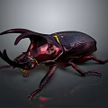 Large Horned Beetle With Shiny Dark Exoskeleton And Detailed Legs On Dark Background