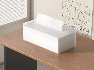 White Plastic Tissue Box Holder On Wooden Table With Window Blinds And Geometric Wall Art 3d model