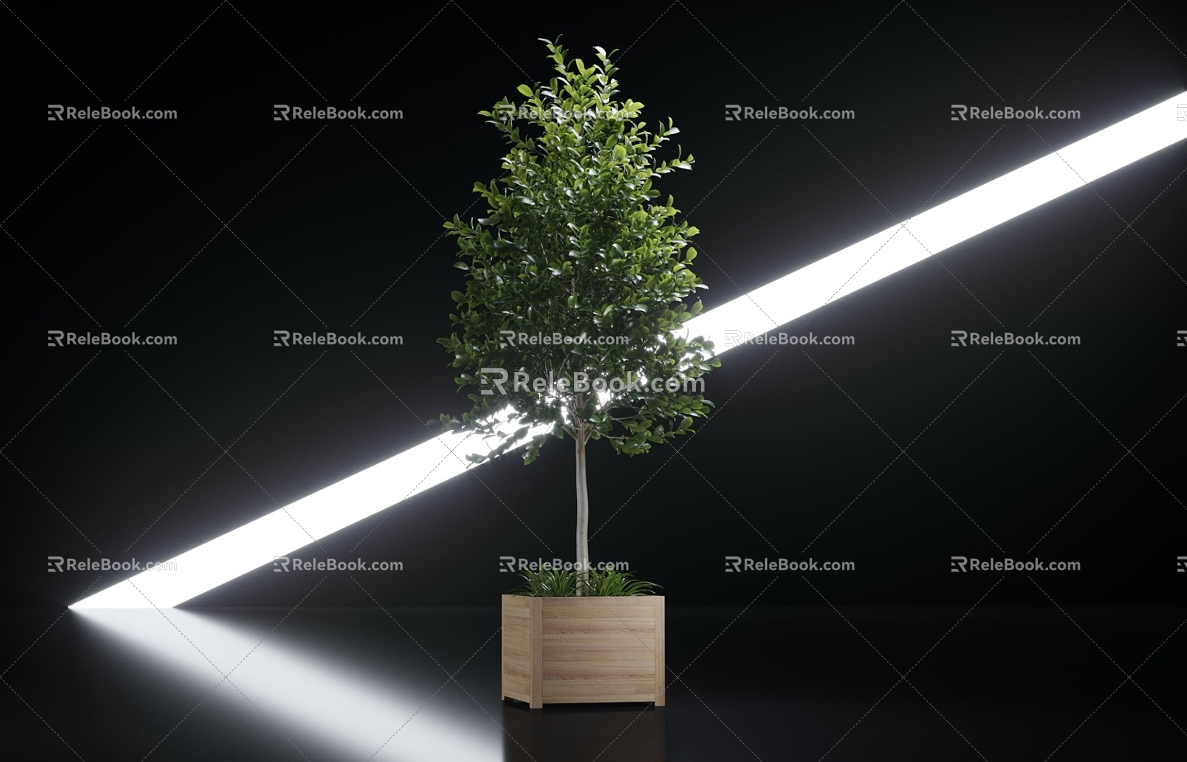 outdoor tree 3d model