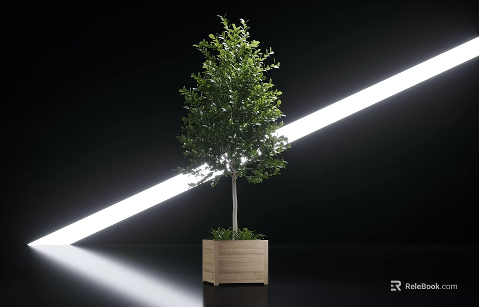 Green Leafy Tree in Wooden Planter Against Black Background with White Light and Floor Reflection 3d model 