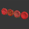 Detailed Red Spherical Structures With Blue Yellow Spikes And Reflections On Dark Background 3d model