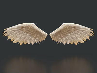 Decorative Ornament Set Of White Wings With Detailed Feather Design For Home Decor 3d model