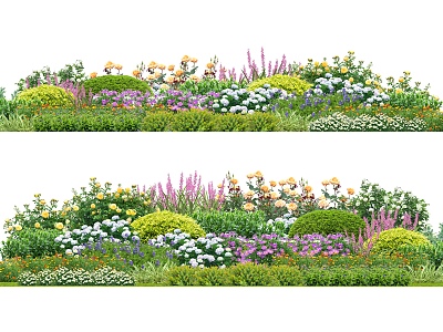 Flower border plant group net red ornamental flowers and plants community plant combination courtyard flowers and plants model