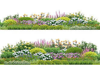 Flower border plant group net red ornamental flowers and plants community plant combination courtyard flowers and plants 3d model